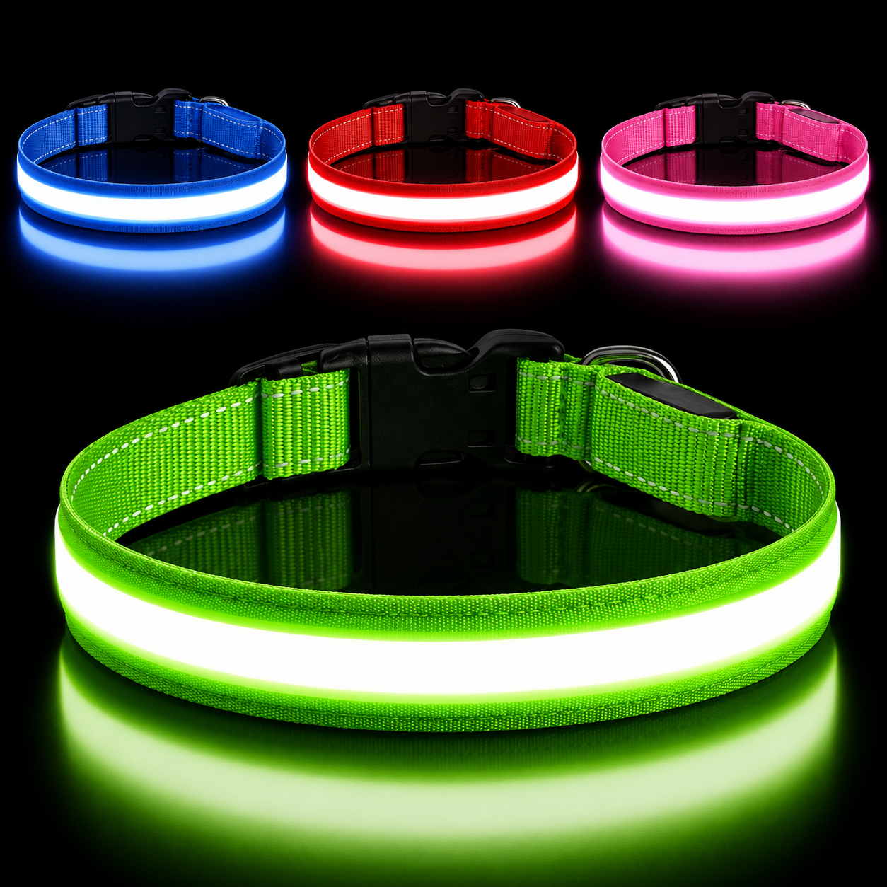 collare led cane
